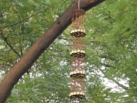 2011China 552